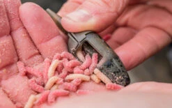 Preston - Feederkorven ICS In-Line Maggot Feeder - Preston -Visuitrusting Winkel 1266199361