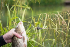 Matrix - Methodfeeder Open Alloy Feeder Inter - Matrix -Visuitrusting Winkel 1407170536