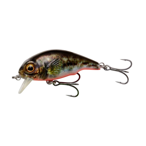 Savage Gear - Kunstaas 3D Goby Crank 4,0cm / 3,0gr - Savage Gear 2 Savage Gear - Kunstaas 3D Goby Crank 4,0cm / 3,0gr - Savage Gear - Afbeelding 2