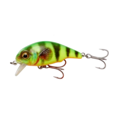 Savage Gear - Kunstaas 3D Goby Crank 4,0cm / 3,0gr - Savage Gear 6 Savage Gear - Kunstaas 3D Goby Crank 4,0cm / 3,0gr - Savage Gear -Visuitrusting Winkel 1416055206