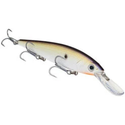 Strike King - Pluggen KVD Deep 300 Jerkbait - 12cm - 17gr -Visuitrusting Winkel 1541468642