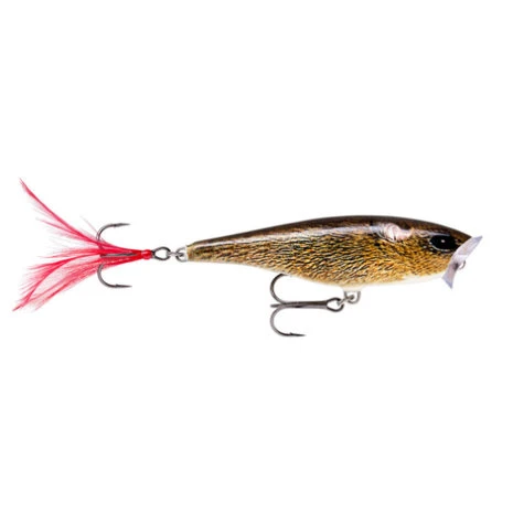 Rapala - Pluggen Skitter Pop Surface Popper - 7cm - 7gr 3 Rapala - Pluggen Skitter Pop Surface Popper - 7cm - 7gr - Afbeelding 3