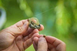 Matrix - Pellet Feeder - Matrix -Visuitrusting Winkel 1792439037