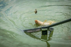 Matrix - Pellet Feeder - Matrix -Visuitrusting Winkel 1792439043