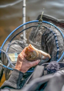 Preston - Schepnet Free Flow Landing Net - Preston 6 Preston - Schepnet Free Flow Landing Net - Preston -Visuitrusting Winkel 1810100136