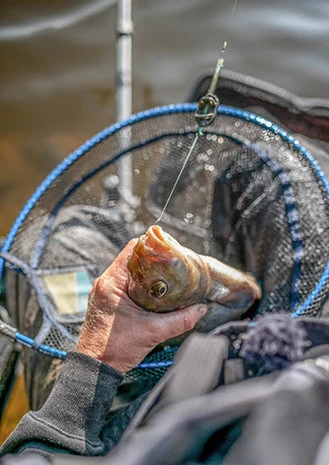 Preston - Schepnet Free Flow Landing Net - Preston 3 Preston - Schepnet Free Flow Landing Net - Preston - Afbeelding 3