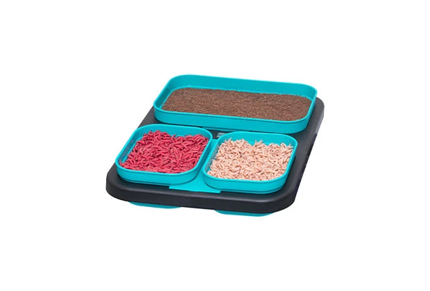 Drennan - DMS 5 Piece Bait Set - Drennan 5 Drennan - DMS 5 Piece Bait Set - Drennan - Afbeelding 5