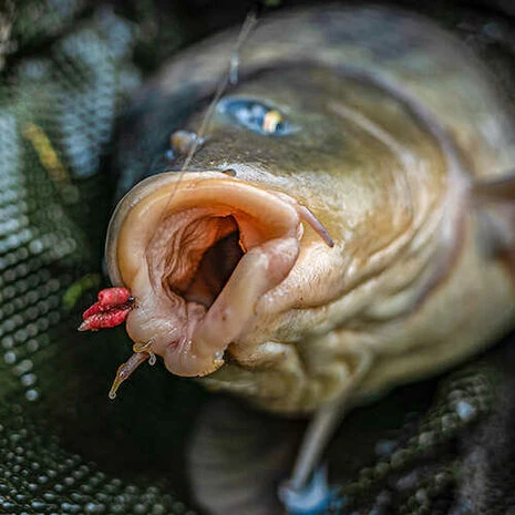 Korum - Haken Grappler Barbed - Korum 3 Korum - Haken Grappler Barbed - Korum - Afbeelding 3