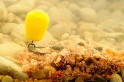 Korda - Kunstaas Pop-up Maize - Korda 6 Korda - Kunstaas Pop-up Maize - Korda -Visuitrusting Winkel 1955683662