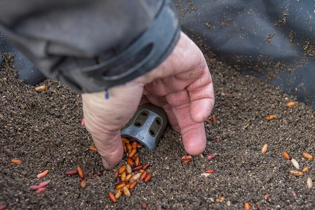 Matrix - Feederkorven Bell Feeder - Matrix 6 Matrix - Feederkorven Bell Feeder - Matrix - Afbeelding 6